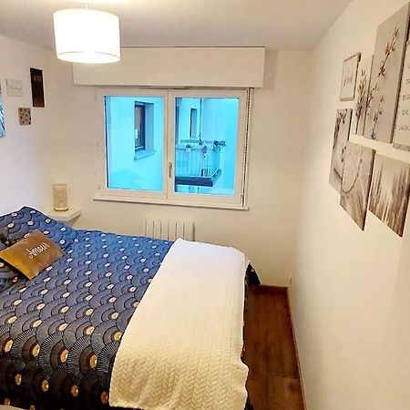 Appartement Cosy Страсбург Екстер'єр фото